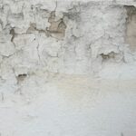 Humedad y pintura desconchada en una pared